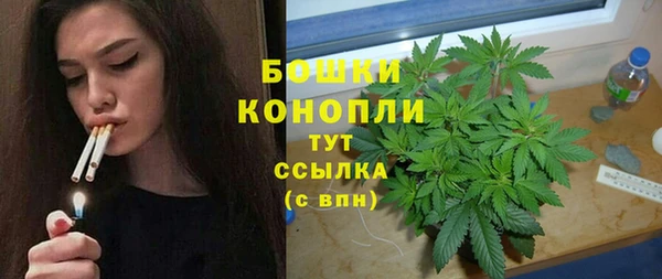 бутират Гусев