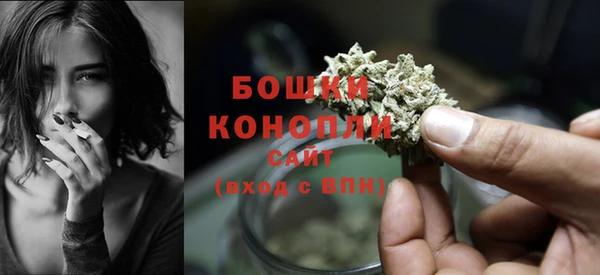Альфа ПВП Дмитровск
