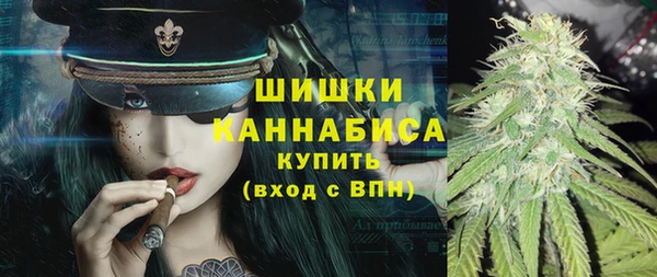 2c-b Дмитриев