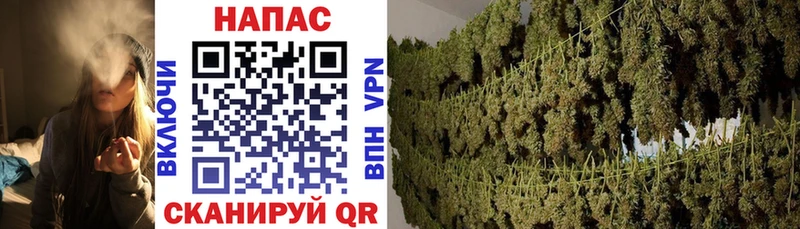 Купить закладки  Аркадак  Конопля LSD WEED 